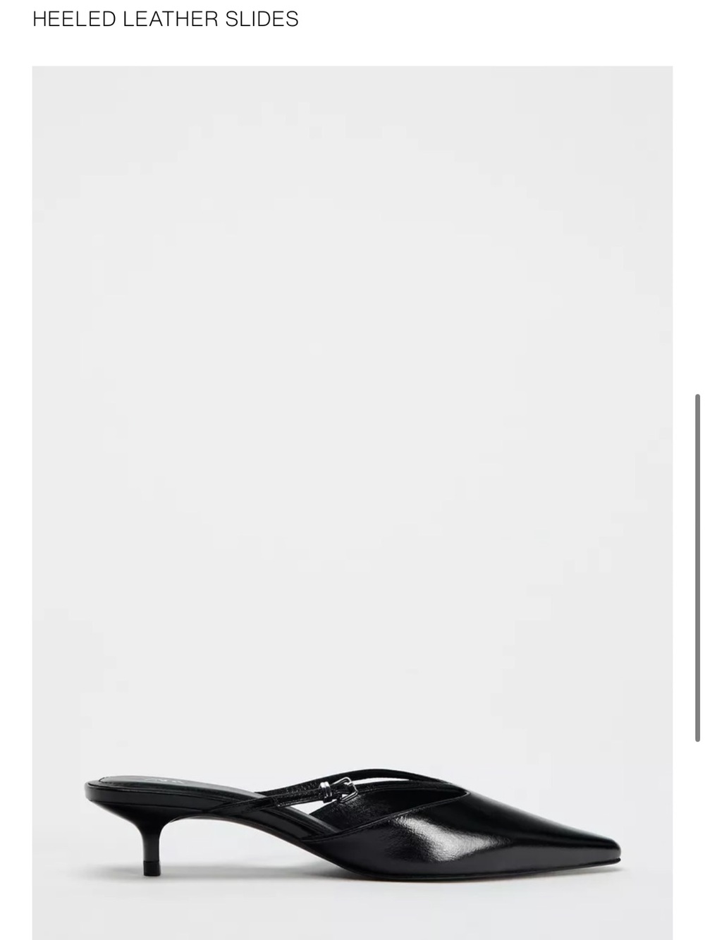 Zara Black Pointed Heeled Leather Mules